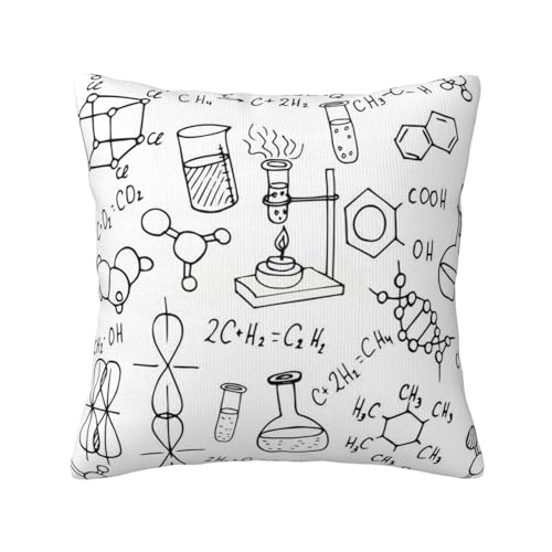 RAXER Kissenbezug aus Seide mit Chemie-Druck, Standardgröße 45 x 45 cm, weicher bedruckter Plüsch-Kissenbezug mit verstecktem Reißverschluss von RAXER