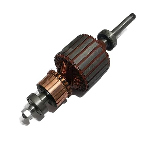 RAYPUR Staubsauger Teile Kupfer Drähte Motor Anker Welle 0,8 cm Durchmesser Kompatibel for BF501 HLX-GS-A30-1 D-112 von RAYPUR