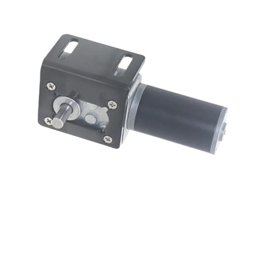 5840-31ZY DC12V 24V Schneckengetriebe-Untersetzungsmotor selbsthemmend großes Drehmoment 70 kg. CM PWM-Geschwindigkeit 12/16/27/40/80/160/260/470 U/min(12V 260rpm,Motor with bracket) von RBBCYQDV