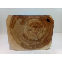 Baumscheibe , Holz , Holzdeko , Holzbrett, Balkenscheibe, Stirnholz, Pappel Baumscheibe , Holz , Holzdeko , Holzbrett, Balkenscheibe, Stirnholz, Pappel von RBHolzunikate