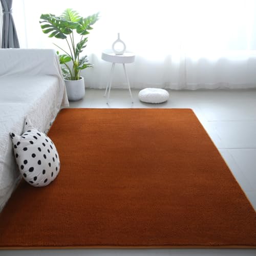 RBQIZVW Flauschiger Teppich Schlafzimmer 200×200 cm Teppiche große modernes Wohnzimmer Mädchen weicher und Flauschiger Teppich Braun rutschfeste teppiche von RBQIZVW