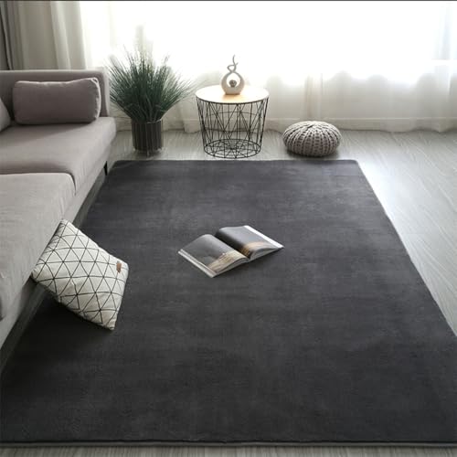 RBQIZVW Weiche Teppich Kinderzimmer Hochflorteppiche Moderne Flauschige Teppich Schlafzimmer Wohnzimmerteppich Zottelteppiche waschbarer Teppiche Rutschfester (Dunkelgrau,200×400 cm von RBQIZVW