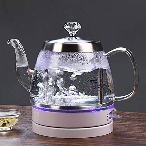 RBUDSPOLF Jug Elektrischer Wasserkocher, tragbar, aus Glas, 1 l, Eco-Wasserkocher mit beleuchteter LED, Heizung 1000 W von RBUDSPOLF