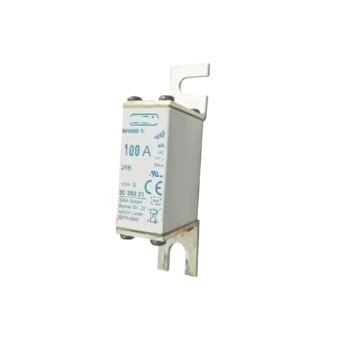 Sicherung 2029221 NH000 100A 160A 200A 250A 315A DC700V(250A) von RBYRLDSTY