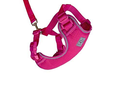 RC Pet Products Adventure Kitty Geschirr für Katzen, Größe M, Himbeerfarben (53804014) von RC Pet Products