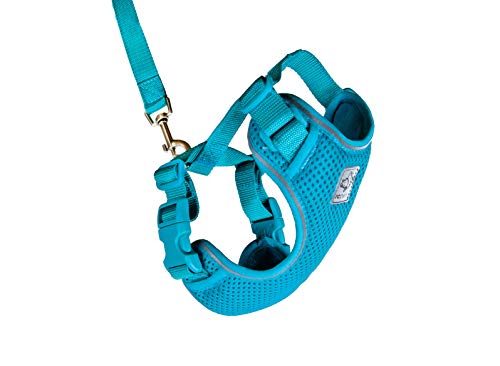 RC Pet Products Adventure Kitty Geschirr für Katzen, klein, Blaugrün (53803015) von RC Pet Products