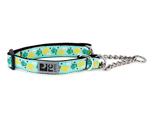 RC Pet Products Training Martingale Dog Collar, X-Large, Pineapple Parade von RC Pet Products