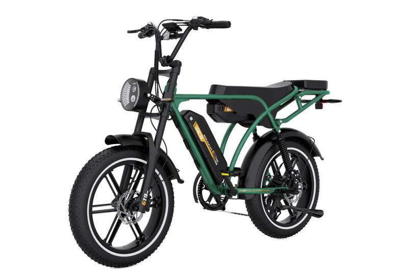 RCB E-Bike Pedelec G19 PRO mit Dual-Akku, NFC&APP, 20x4,0 Zoll, 48V 31,2Ah, 90-120 KM, 7 Gang, Kettenschaltung, 250W Heckmotor, 1497.6 Wh von RCB