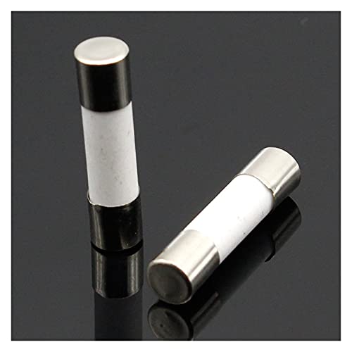 RCGKNNMUZ 10 Keramiksicherungen 5 mm x 20 mm träge T 0,5 A 1 A 2 A 3 A 4 A 5 A 6 A 8 A 10 A 13 A 15 A 16 A 20 A 250 V(20A) von RCGKNNMUZ