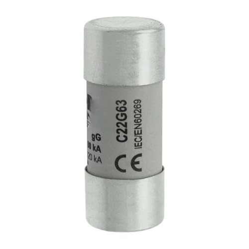 RCGKNNMUZ C22G32 C22G40 C22G50 C22G63 C22G80 C22G100 C22G125 Sicherung(C22G40) von RCGKNNMUZ