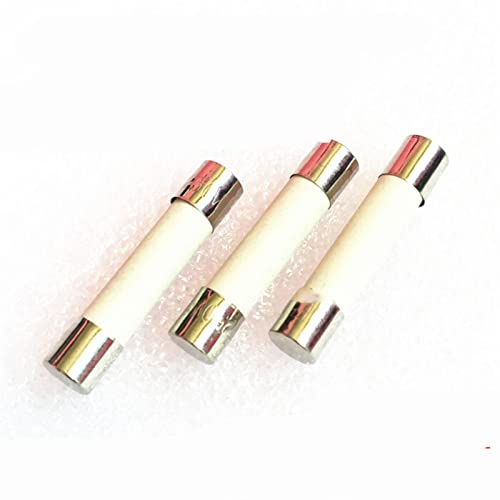 RCGKNNMUZ Sicherung 10 STÜCKE 6 * 30 mm Keramiksicherung Fast Blow Tube Sicherung 5 x 20 mm 250 V 0,5 A1 A 2A3A4A5A6A7A8A10A12A15A20A25A30A, Größe: 15A(15A) von RCGKNNMUZ