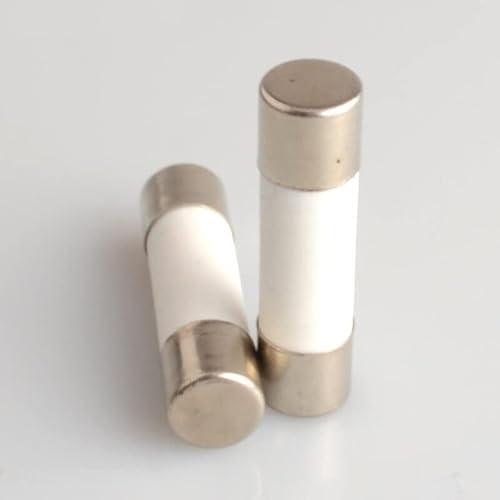 RCGKNNMUZ Sicherung 10 STÜCKE Flinke Keramiksicherung 10 * 38 mm Sicherung 500 V 1 A 2 A 3 A 4 A 5 A 6 A 8 A 10 A 16 A 20 A 25 A 32 A 10 x 38 mm(20A) von RCGKNNMUZ