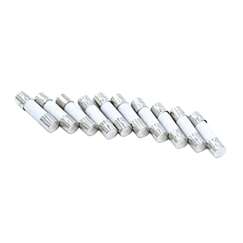 RCGKNNMUZ Sicherung 10 Stück 5 * 20 mm flinke Keramiksicherung 5 x 20 mm 250 V 0,1 A 0,25 A 0,5 A 1 A 1,5 A 2 A 2,5 A 3 A 3,15 A 4 A 5 A 6 A 6,3 A 8 A 10 A 15 A 16 A 20 A 25 A30 A(2.5A) von RCGKNNMUZ