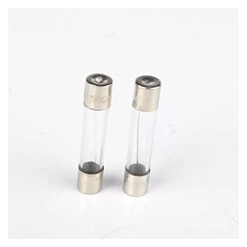 RCGKNNMUZ Sicherung 10 Stück 5 x 20 mm 6 x 30 mm Glasrohrsicherung 0,2 A 0,5 A 1 A 2 A 3 A 4 A 5 A 6 A 7 A 8 A 10 A 12 A 15 A 20 A Glassicherung schnell(5A) von RCGKNNMUZ