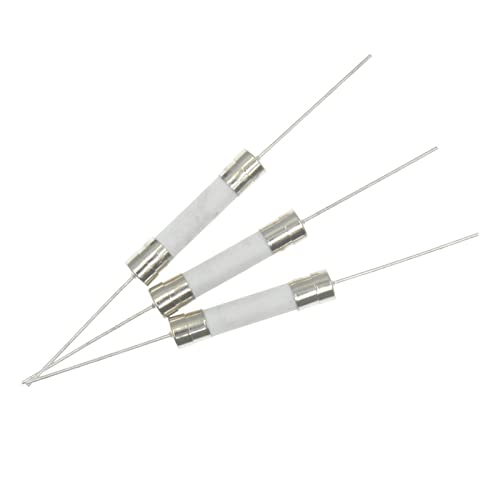 RCGKNNMUZ Sicherung 100 STÜCKE 6 * 30 mm Keramiksicherung Fast Slow Blow Tube Sicherung mit einem Stift 6 x 30 mm 250 V 8 A 10 A 15 A 20 A 25 A 30 A(20a) von RCGKNNMUZ