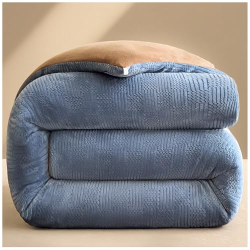 RCGNR Bettdecke, Winterdecke, Dick Milchsamt Decke, Doppelseitig, Flauschig, PlüSch Winterdecke, Verdickt Warm PlüSch-Decke Einfarbig Daunendecke B, 180x220cm/4kg von RCGNR