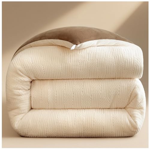 RCGNR Bettdecke, Winterdecke, Dick Milchsamt Decke, Doppelseitig, Flauschig, PlüSch Winterdecke, Verdickt Warm PlüSch-Decke Einfarbig Daunendecke E, 180x220cm/4kg von RCGNR