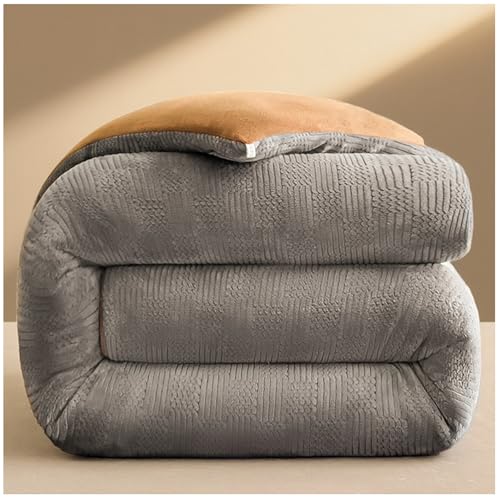 RCGNR Bettdecke, Winterdecke, Dick Milchsamt Decke, Doppelseitig, Flauschig, PlüSch Winterdecke, Verdickt Warm PlüSch-Decke Einfarbig Daunendecke H, 180x220cm/4kg RCGNR Bettdecke, Winterdecke, Dick Milchsamt Decke, Doppelseitig, Flauschig, PlüSch Winterdecke, Verdickt Warm PlüSch-Decke Einfarbig Daunendecke H, 180x220cm/4kg von RCGNR