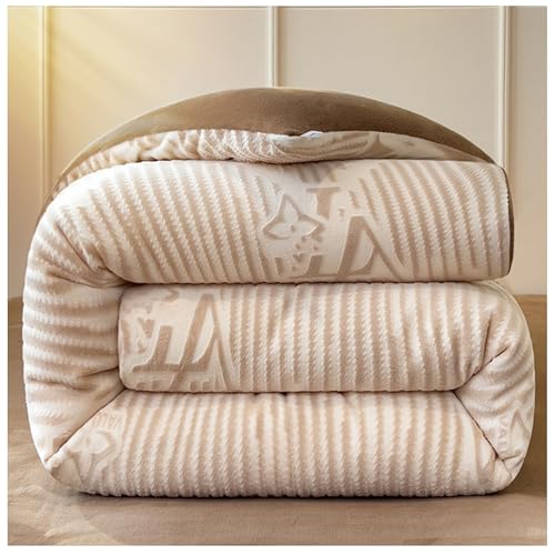 RCGNR Bettdecke, Winterdecke, Dick Milchsamt Decke, Doppelseitig, Flauschig, PlüSch Winterdecke, Verdickt Warm PlüSch-Decke Einfarbig Daunendecke J, 200x230cm/4kg von RCGNR