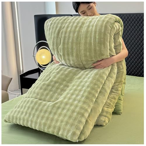 RCGNR Bettdecke 220x240 Winterdecke, Bettdecke 4 Jahreszeiten, Steppdecke Dicker Milchsamt, Decke, Verdickt Warm PlüSch-Decke Einfarbig Daunendecke B, 200x230cm/4kg von RCGNR