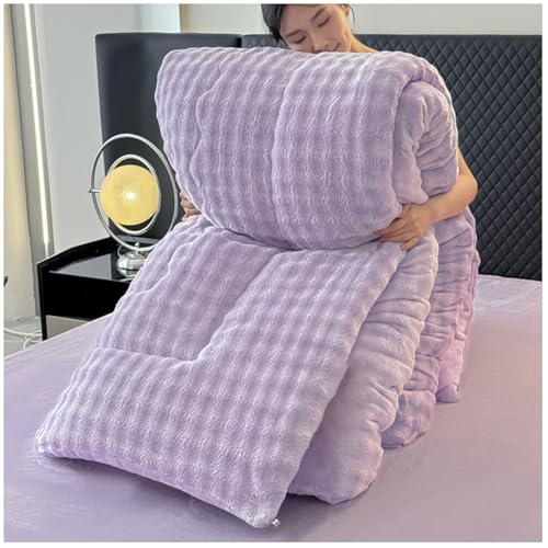 RCGNR Bettdecke 220x240 Winterdecke, Bettdecke 4 Jahreszeiten, Steppdecke Dicker Milchsamt, Decke, Verdickt Warm PlüSch-Decke Einfarbig Daunendecke D, 220x240cm/5kg von RCGNR