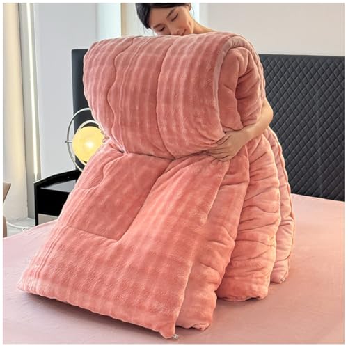 RCGNR Bettdecke 220x240 Winterdecke, Bettdecke 4 Jahreszeiten, Steppdecke Dicker Milchsamt, Decke, Verdickt Warm PlüSch-Decke Einfarbig Daunendecke E, 220x240cm/5kg von RCGNR