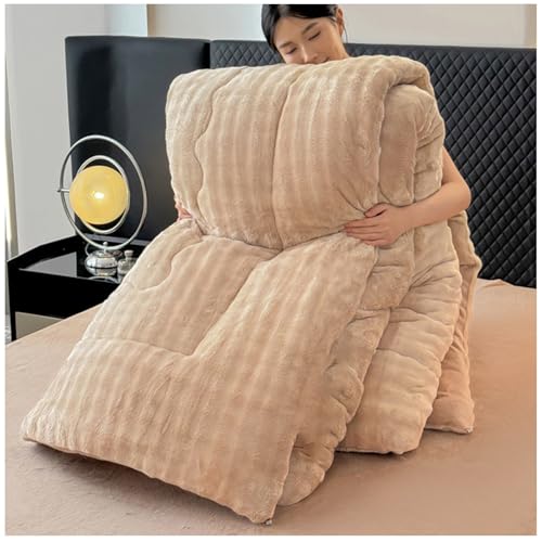 RCGNR Bettdecke 220x240 Winterdecke, Bettdecke 4 Jahreszeiten, Steppdecke Dicker Milchsamt, Decke, Verdickt Warm PlüSch-Decke Einfarbig Daunendecke F, 180x220cm/3kg von RCGNR
