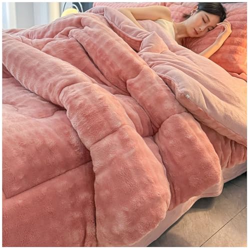 RCGNR Dicke Bettdecke, Winterdecke, Flauschige Doppelter Milchsamt Steppdecken, Schwere Warme Winterdecke, Doppelseitige Steppdecke Schwer Warm FüR Den Winter B,150x200cm/2.5kg von RCGNR