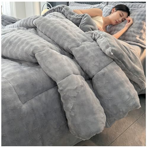RCGNR Dicke Bettdecke, Winterdecke, Flauschige Doppelter Milchsamt Steppdecken, Schwere Warme Winterdecke, Doppelseitige Steppdecke Schwer Warm FüR Den Winter C, 200x230cm/3kg von RCGNR