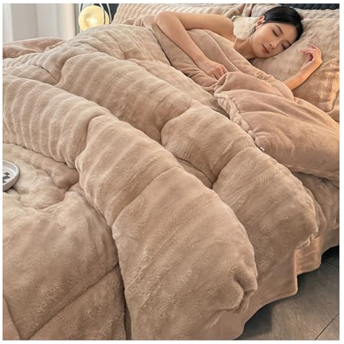 RCGNR Dicke Bettdecke, Winterdecke, Flauschige Doppelter Milchsamt Steppdecken, Schwere Warme Winterdecke, Doppelseitige Steppdecke Schwer Warm FüR Den Winter E, 220x240cm/5kg von RCGNR