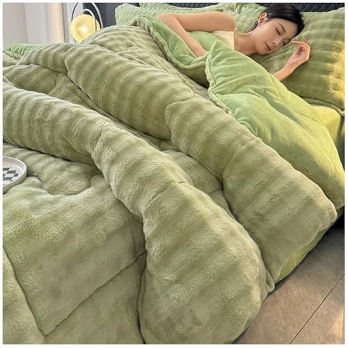 RCGNR Dicke Bettdecke, Winterdecke, Flauschige Doppelter Milchsamt Steppdecken, Schwere Warme Winterdecke, Doppelseitige Steppdecke Schwer Warm FüR Den Winter F, 200x230cm/3kg von RCGNR
