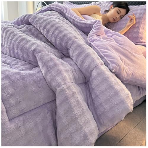 RCGNR Dicke Bettdecke, Winterdecke, Flauschige Doppelter Milchsamt Steppdecken, Schwere Warme Winterdecke, Doppelseitige Steppdecke Schwer Warm FüR Den Winter G,150x200cm/2.5kg von RCGNR