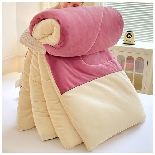 RCGNR Dicke Steppdecke, Winterdecke, Warme Bettdecke FüR Doppelbett, Schwere Decken FüR Winterdoppelbett, Dicker Warmer PlüSch Winterdecke Steppdecke B, 180x220cm/3kg von RCGNR
