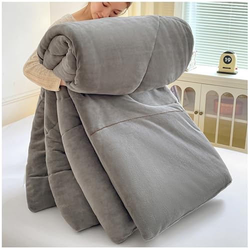 RCGNR Dicke Steppdecke, Winterdecke, Warme Bettdecke FüR Doppelbett, Schwere Decken FüR Winterdoppelbett, Dicker Warmer PlüSch Winterdecke Steppdecke D, 220x240cm/3kg von RCGNR