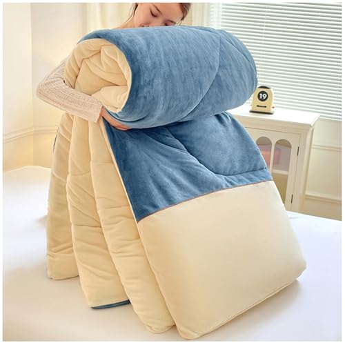 RCGNR Dicke Steppdecke, Winterdecke, Warme Bettdecke FüR Doppelbett, Schwere Decken FüR Winterdoppelbett, Dicker Warmer PlüSch Winterdecke Steppdecke E, 180x220cm/3kg von RCGNR