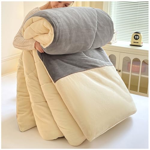 RCGNR Dicke Steppdecke, Winterdecke, Warme Bettdecke FüR Doppelbett, Schwere Decken FüR Winterdoppelbett, Dicker Warmer PlüSch Winterdecke Steppdecke F, 150x200cm/3kg von RCGNR