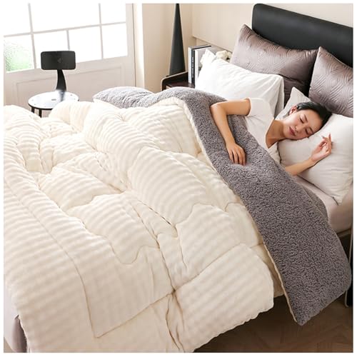 RCGNR Dicker Warmer PlüSch Winterdecke Steppdecke, Bettdecke 4 Jahreszeiten, Allergiker-Geeignet, Verdickt Warm PlüSch-Decke Einfarbig Daunendecke D, 180x220cm/4kg von RCGNR