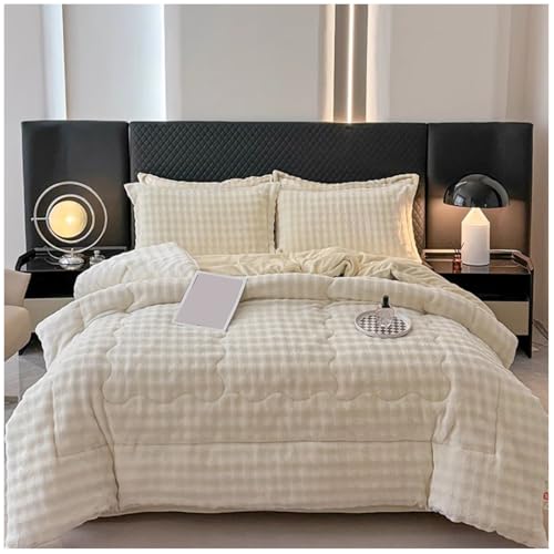 RCGNR Steppdecke Dicke Extra Warme Bettdecke Schlafdecke Winter Flauschige Steppdecken Dicke Bettdecke, Doppelseitige Samt Decke, PlüSch Winterdecke D, 180x220cm/3kg von RCGNR