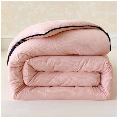 RCGNR Warme Winterdecken, Flauschige Bettdecke, Steppkern, Dicker Warmer PlüSch Winterdecke Steppdecke 220x240, Schwere Decken für Doppelbetten, Doppelseitige Bettdecke C,150x200cm/2kg von RCGNR