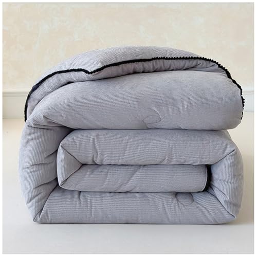 RCGNR Warme Winterdecken, Flauschige Bettdecke, Steppkern, Dicker Warmer PlüSch Winterdecke Steppdecke 220x240, Schwere Decken für Doppelbetten, Doppelseitige Bettdecke D,150x200cm/2kg von RCGNR