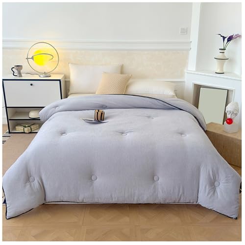 RCGNR Winterbettdecke, 2-5 Kg Winter-Decke Doppelseitige Steppdecke, Bettdecke, Mikrofaser Steppdecke, Schwere Decken FüR Winter-Doppelbett E, 150x200cm/3kg von RCGNR