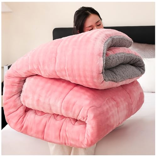RCGNR Winterbettdecke, Dicke Steppdecke, Flauschige Kaschmir-Steppdecken, Weiche Dicker Warmer PlüSch Decke Daunendecke, Doppelseitige Samtbettdecke B, 220x240cm/5kg RCGNR Winterbettdecke, Dicke Steppdecke, Flauschige Kaschmir-Steppdecken, Weiche Dicker Warmer PlüSch Decke Daunendecke, Doppelseitige Samtbettdecke B, 220x240cm/5kg von RCGNR