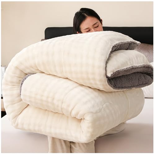 RCGNR Winterbettdecke, Dicke Steppdecke, Flauschige Kaschmir-Steppdecken, Weiche Dicker Warmer PlüSch Decke Daunendecke, Doppelseitige Samtbettdecke F, 150x200cm/3.5kg von RCGNR