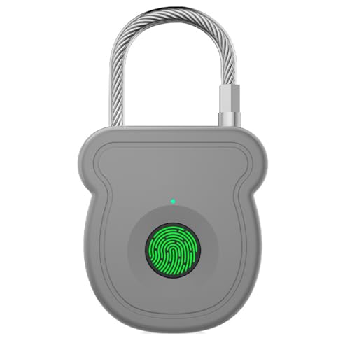 RCGOFOLLOW Diebstahlsicherung für Autokörbe Fingerabdruck Vorhängeschloss Outdoor Gepäck Fingerabdruck Schloss Intelligentes Schloss, grau von RCGOFOLLOW