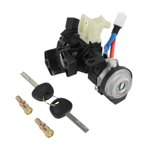 Zündschlossschalter Set mit 2 kompatibel mit 2014-2019 Soul Vehicles Teile Nummer 81910-B2100 Autotürzubehör von RCGtnnesa