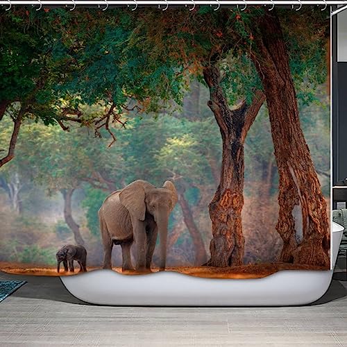 RCKLCY Elefant Duschvorhang 120x180 Anti-Schimmel Waschbar Afrikanische Tiere Shower Curtain Anti-Schimmel Anti-Bakteriell 3D Digitaldruck Waschbar Badewanne Vorhang mit 12 Duschvorhangringen von RCKLCY