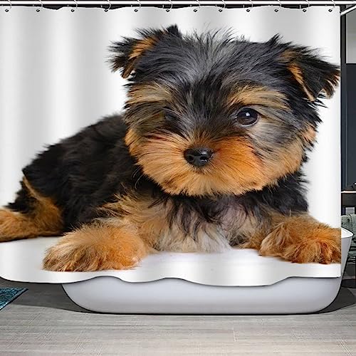 RCKLCY Süßer Welpe Duschvorhang 180x200 Anti-Schimmel Waschbar Yorkshire-Terrier Badezimmer Vorhänge Anti-Schimmel Anti-Bakteriell 3D Digitaldruck Waschbar Badewanne Vorhang mit 12 Duschvorhangringen von RCKLCY