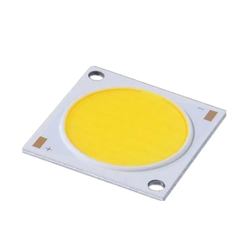 10 Stück 15w/20w/30W/50W LED COB CHIP Weiß 6000K Neutral 4000K Spiegel Aluminium COB Lampe Bridgex Chips(Neutral white 4000K,20w) von RCTGPGJAC