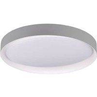 Reality Leuchten - gebraucht] Led Deckenlampe Zeta Deckenlampe Tunable White Grau Weiß Led B-Ware von REALITY LEUCHTEN