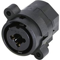 Av RCJ6FI-V-0 XLR-Steckverbinder Buchse Polzahl: 3 1 St. - Rean Av RCJ6FI-V-0 XLR-Steckverbinder Buchse Polzahl: 3 1 St. - Rean von REAN